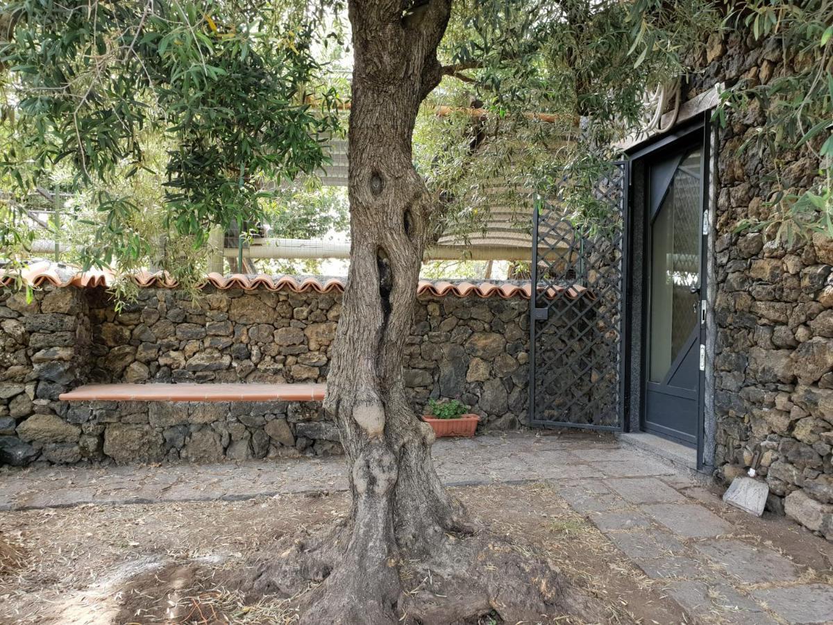 Alle Pendici Dell'Etna Ragalna Exterior photo